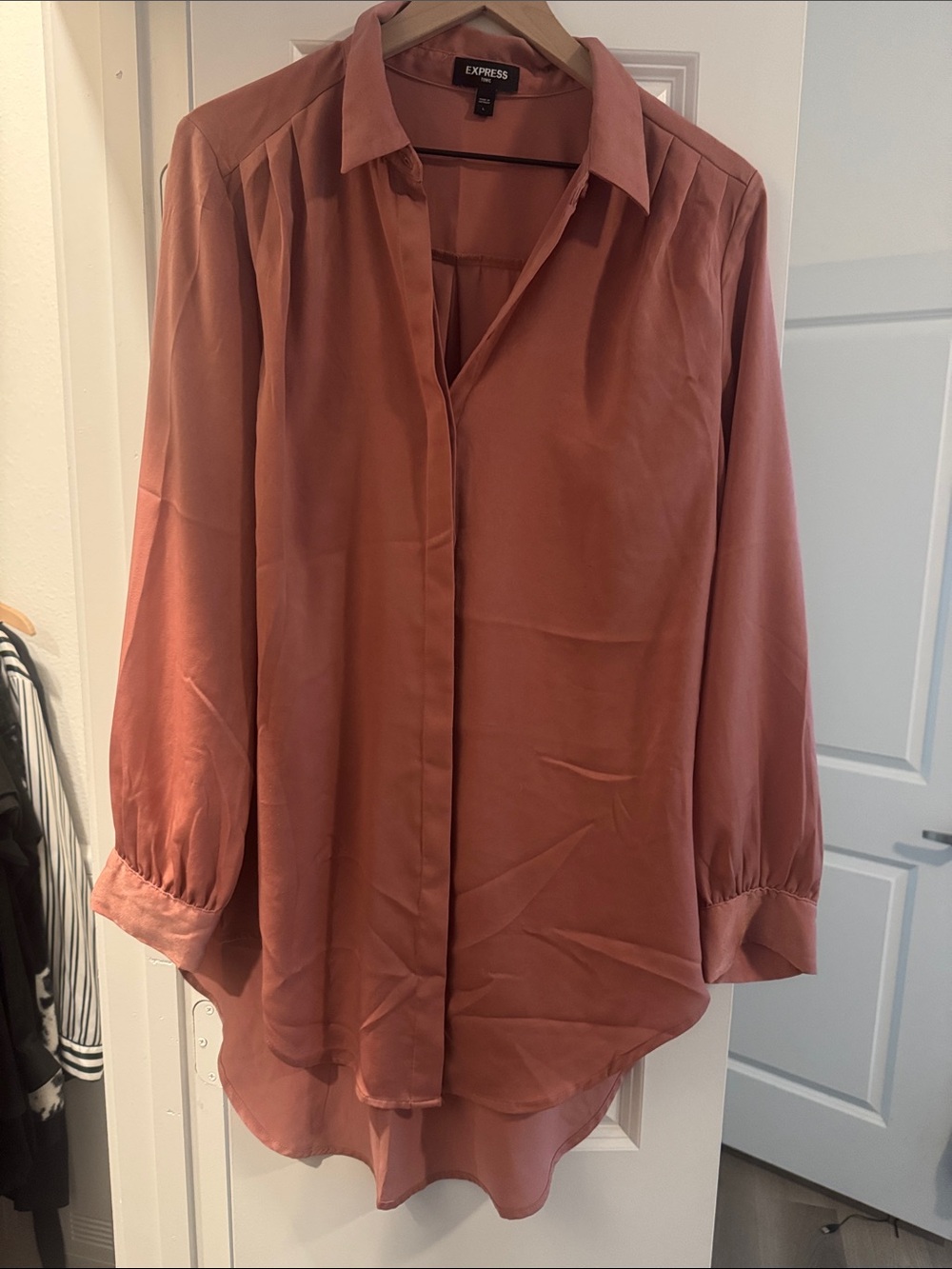 Express Womens Rosewood Button-Front Blouse
